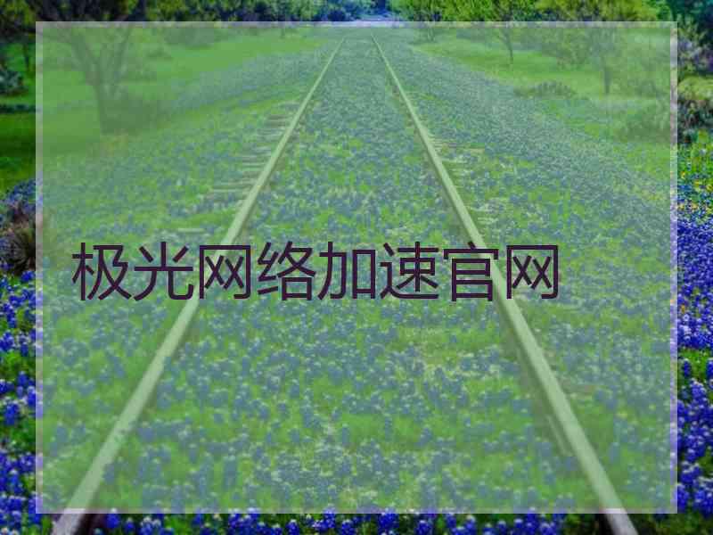 极光网络加速官网