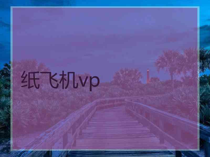 纸飞机vp