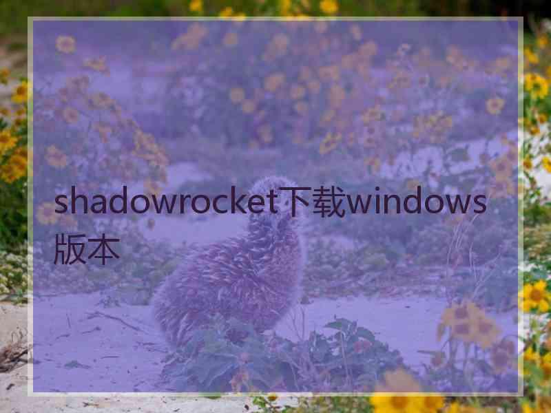 shadowrocket下载windows版本