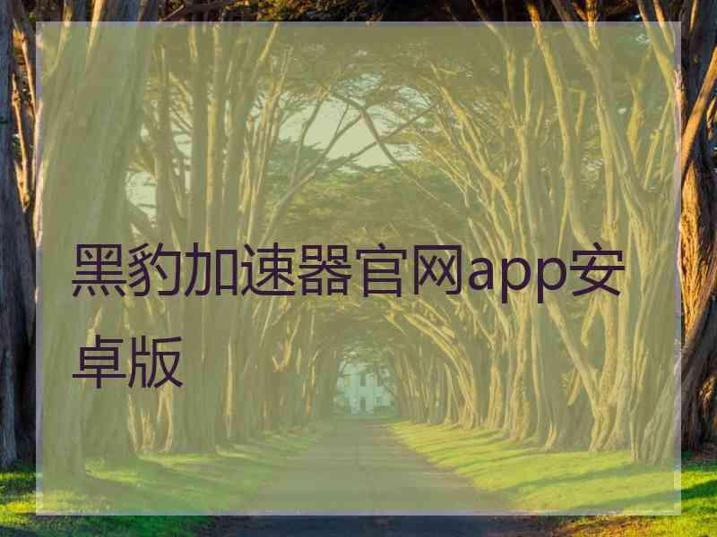 黑豹加速器官网app安卓版