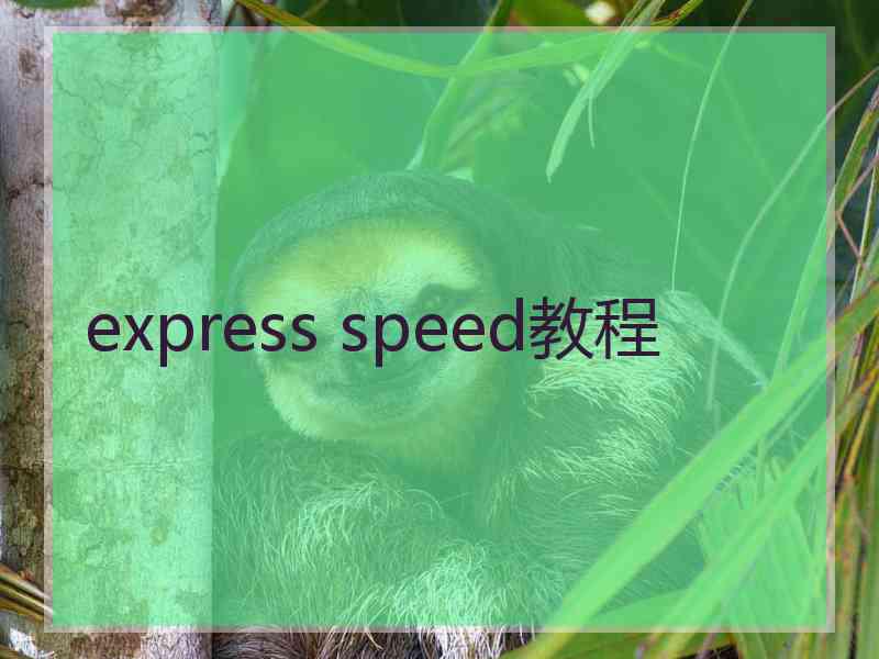 express speed教程