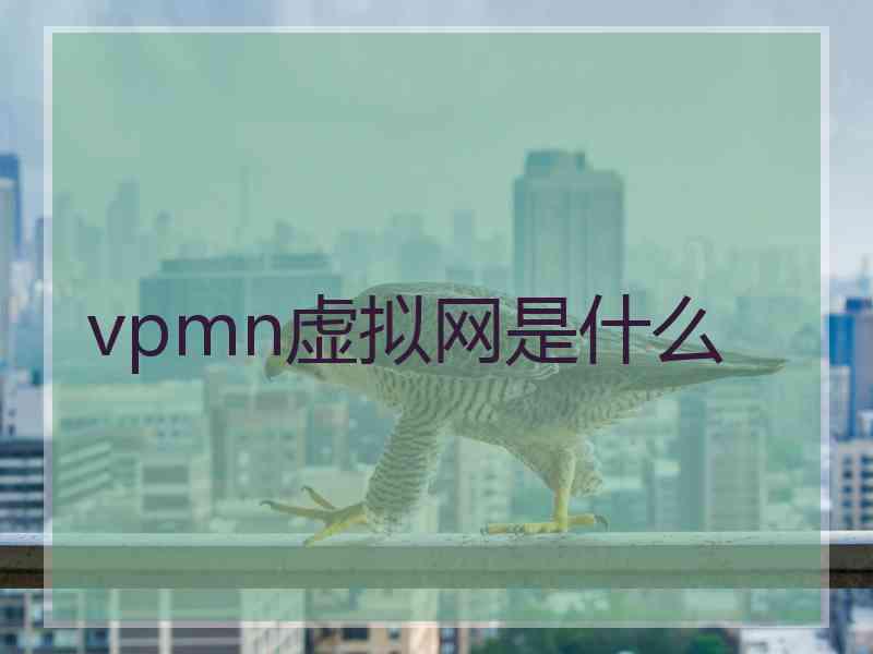 vpmn虚拟网是什么