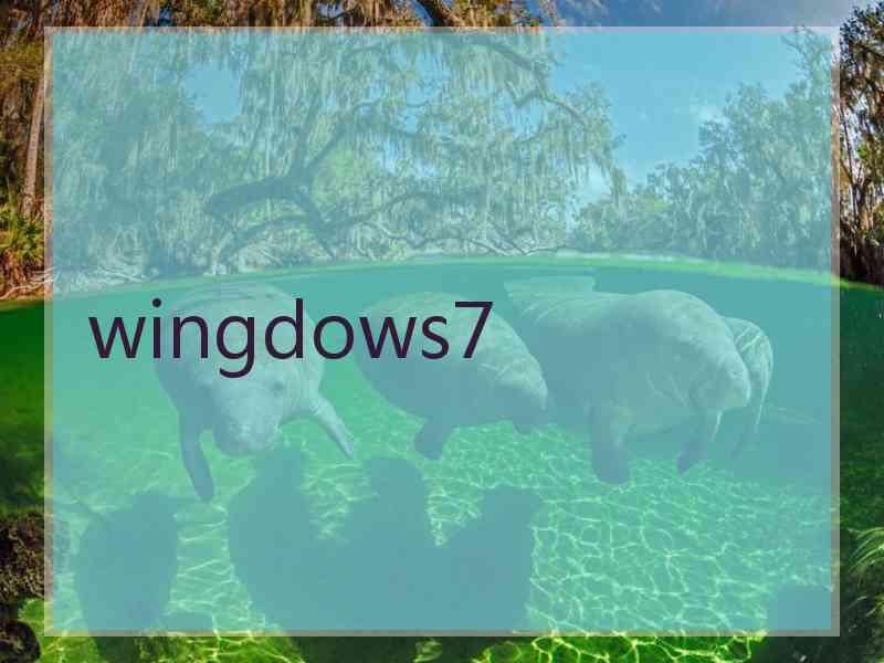 wingdows7