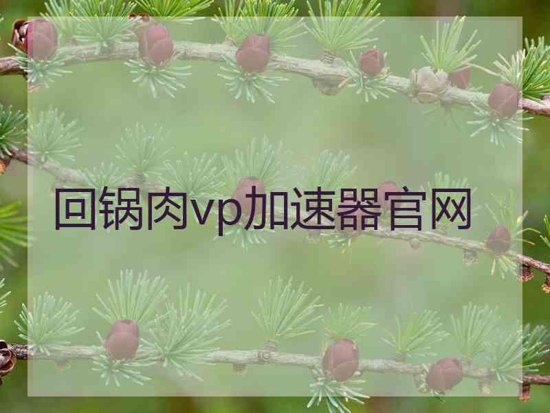 回锅肉vp加速器官网