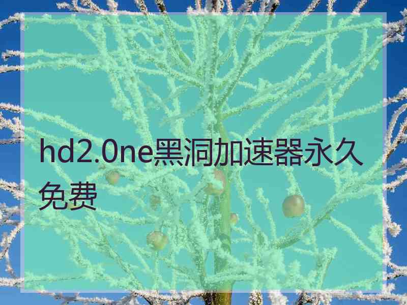 hd2.0ne黑洞加速器永久免费