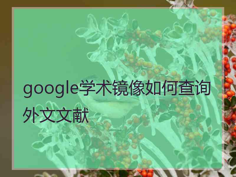 google学术镜像如何查询外文文献