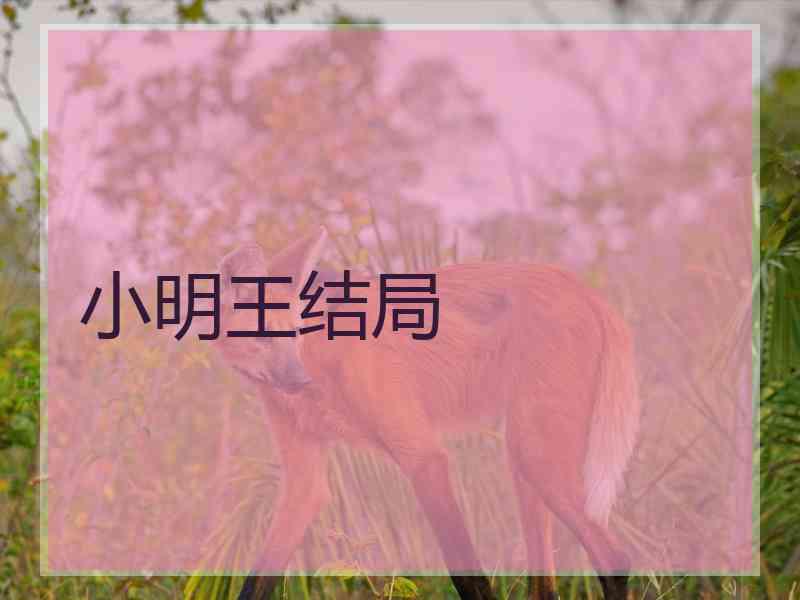 小明王结局