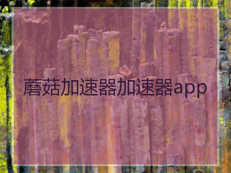 蘑菇加速器加速器app