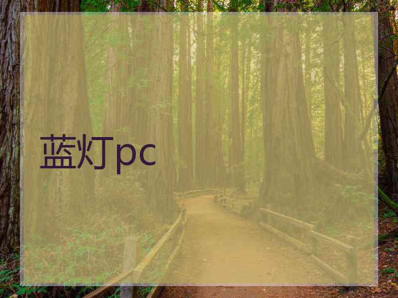 蓝灯pc