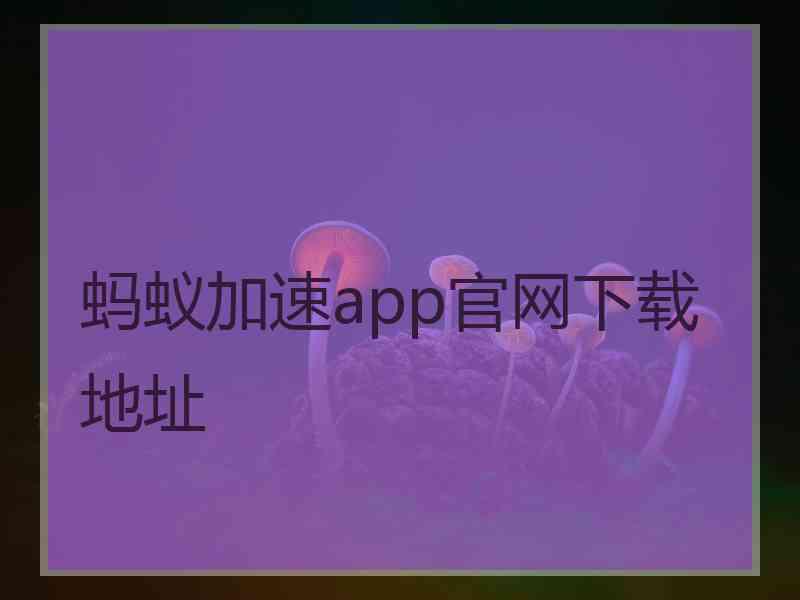 蚂蚁加速app官网下载地址