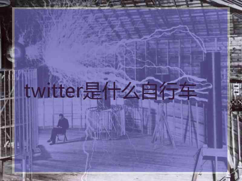 twitter是什么自行车