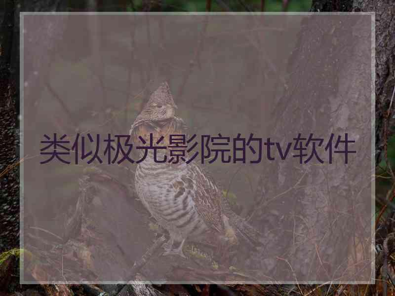 类似极光影院的tv软件