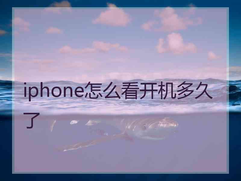 iphone怎么看开机多久了