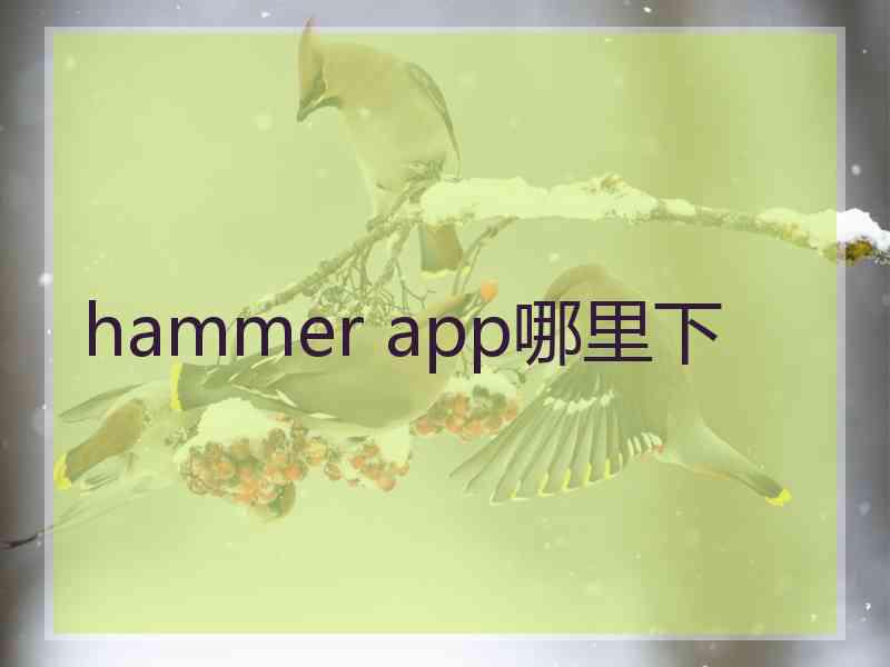 hammer app哪里下