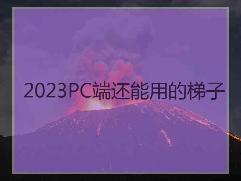 2023PC端还能用的梯子