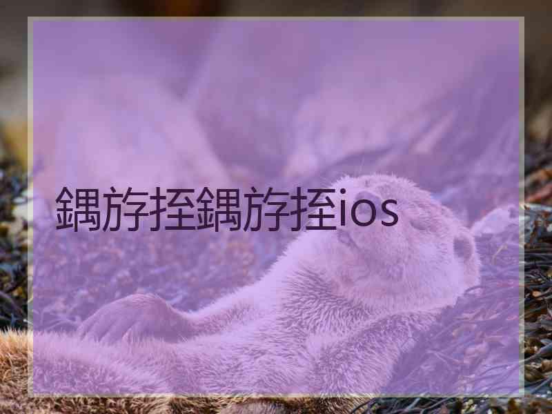 鍝斿挃鍝斿挃ios