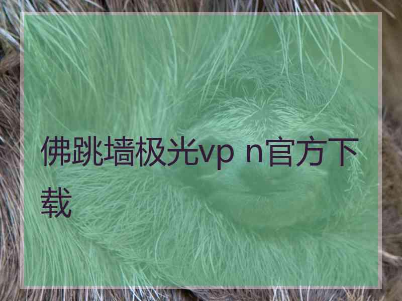 佛跳墙极光vp n官方下载