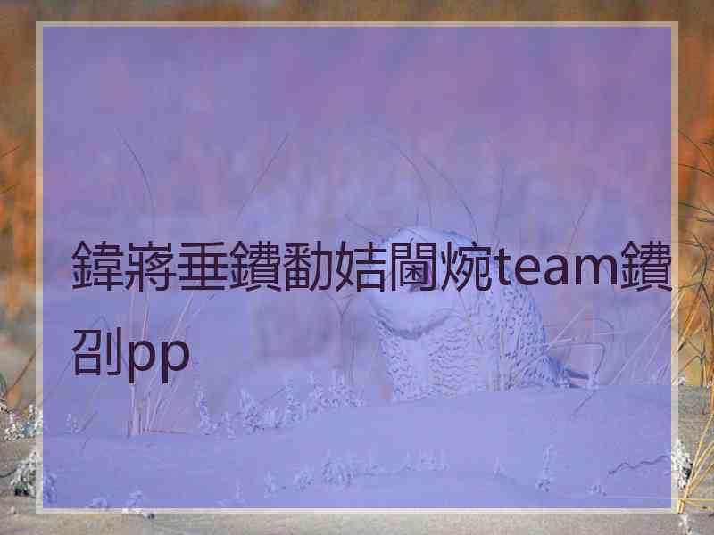 鍏嶈垂鐨勫姞閫焥team鐨刟pp