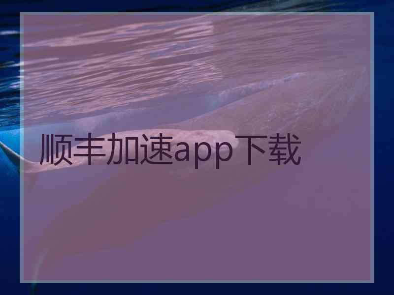 顺丰加速app下载