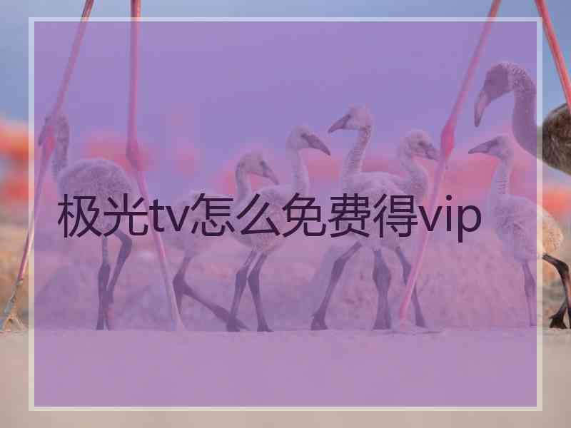 极光tv怎么免费得vip