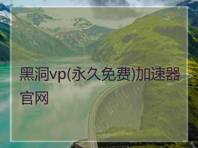 黑洞vp(永久免费)加速器官网