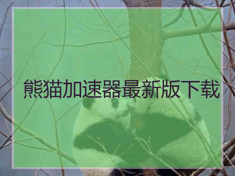 熊猫加速器最新版下载