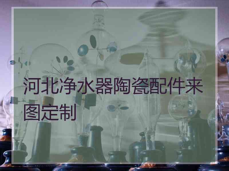 河北净水器陶瓷配件来图定制