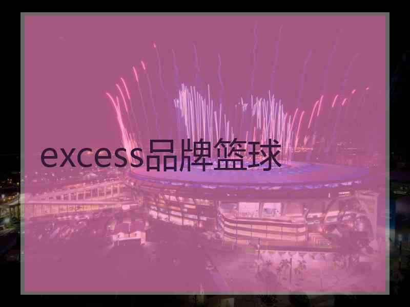 excess品牌篮球