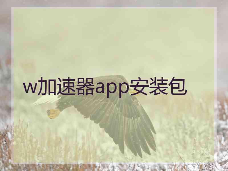 w加速器app安装包