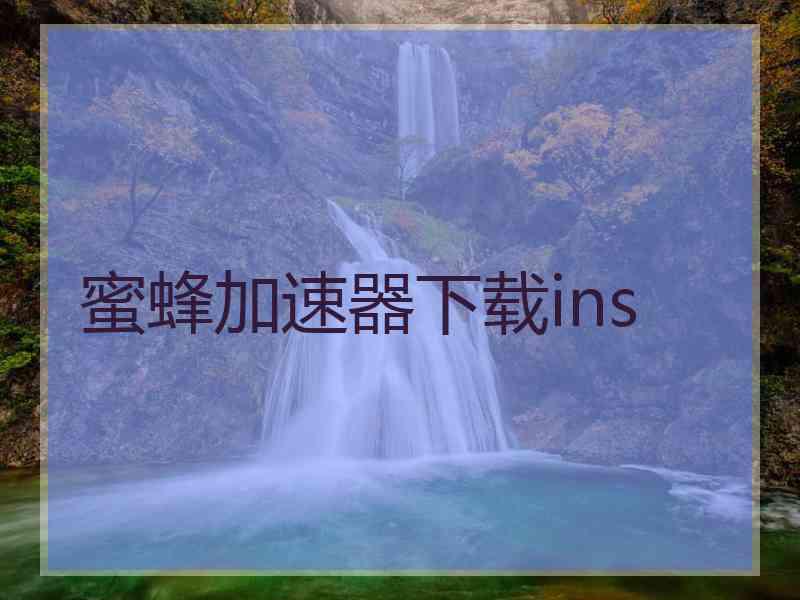 蜜蜂加速器下载ins