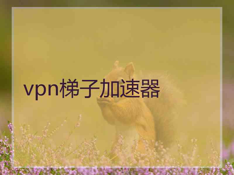 vpn梯子加速器