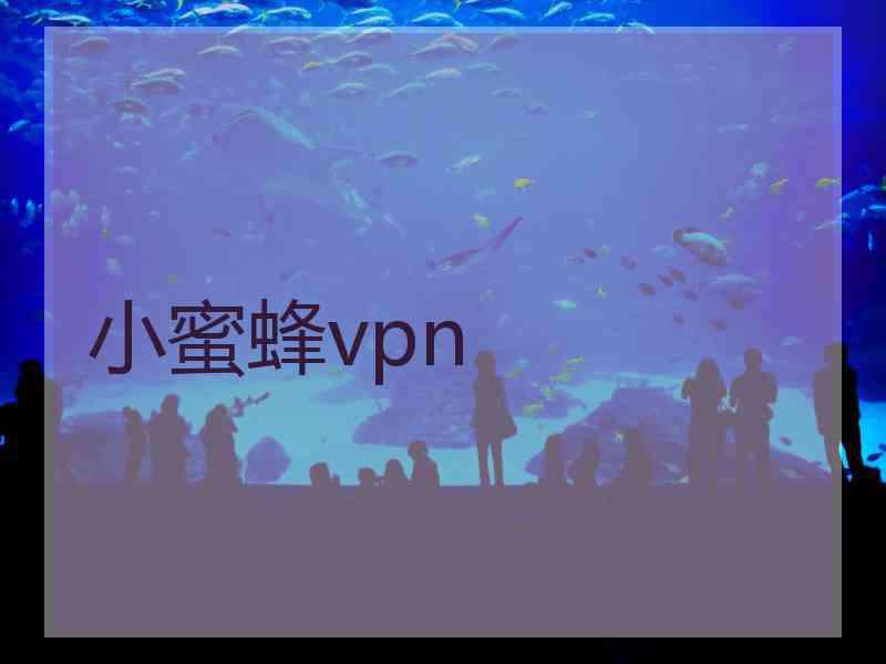 小蜜蜂vpn