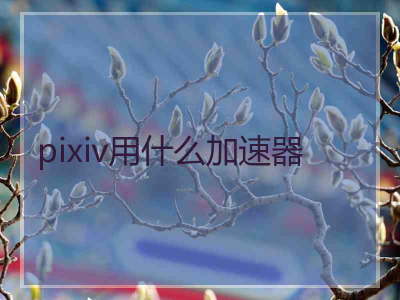 pixiv用什么加速器