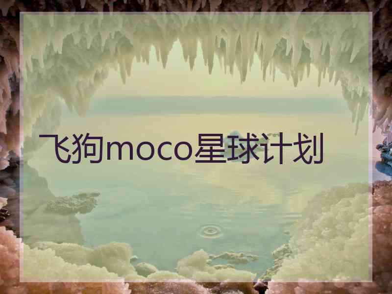 飞狗moco星球计划