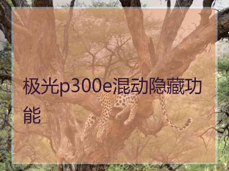 极光p300e混动隐藏功能