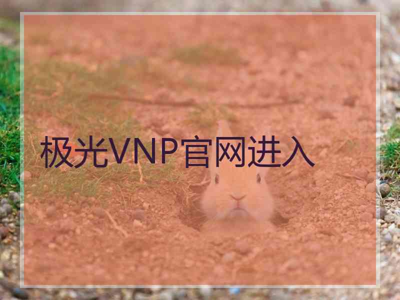 极光VNP官网进入