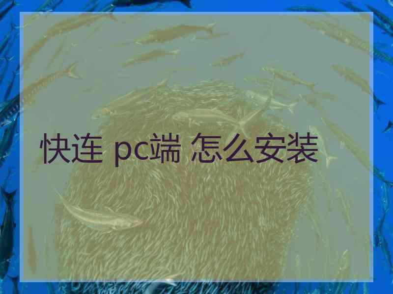 快连 pc端 怎么安装