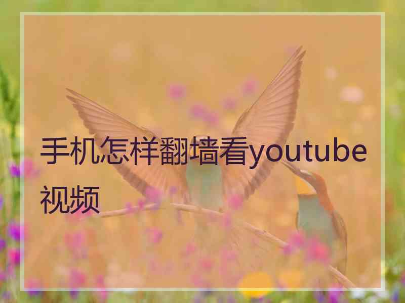 手机怎样翻墙看youtube视频