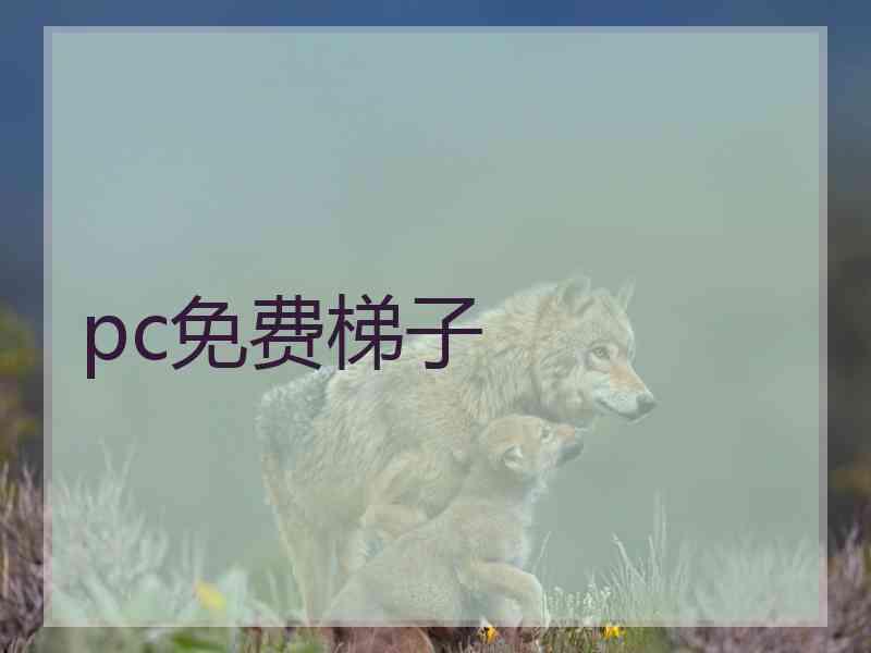 pc免费梯子