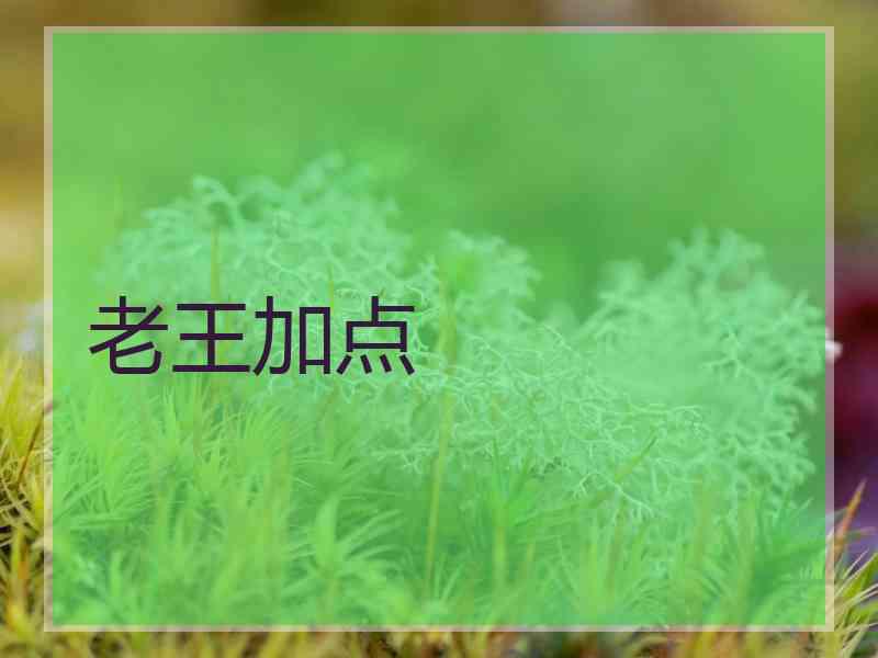 老王加点