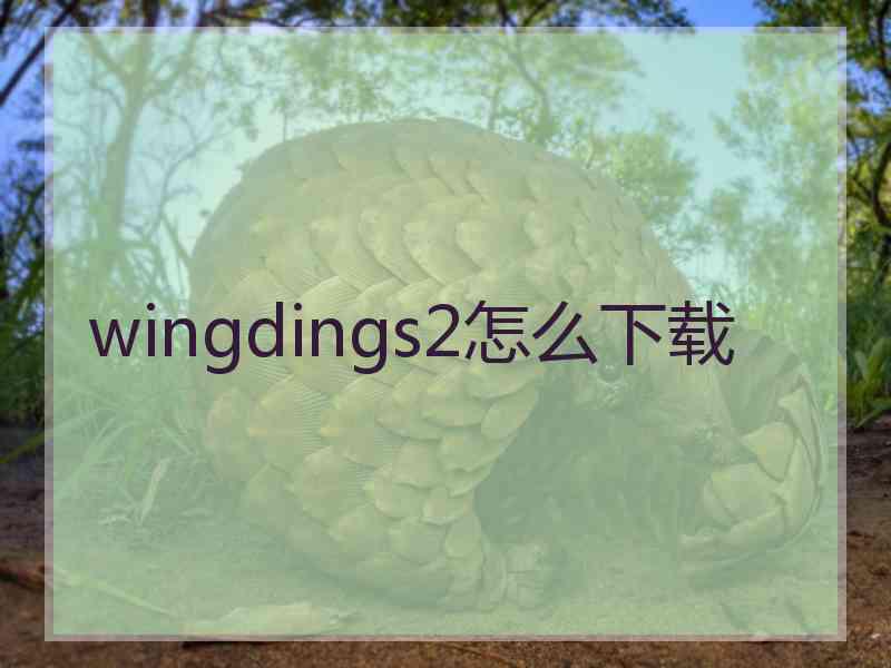 wingdings2怎么下载