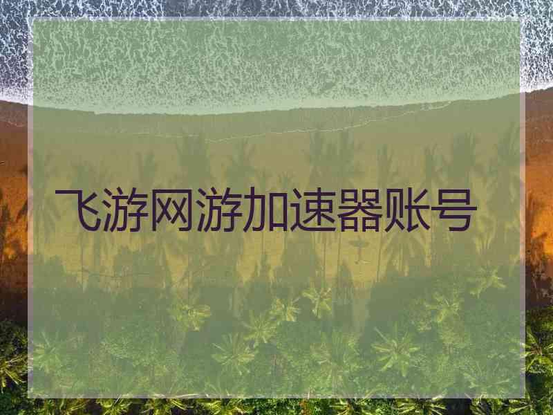 飞游网游加速器账号