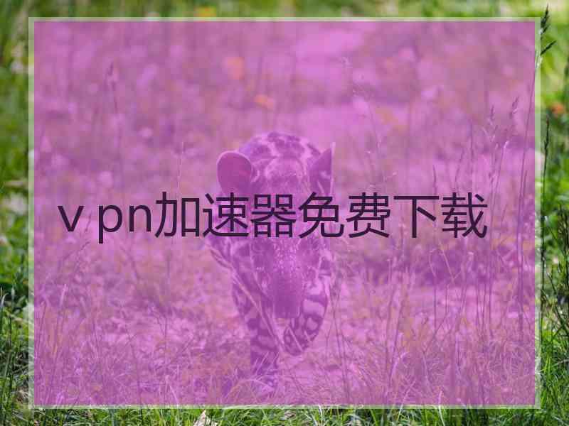 ⅴpn加速器免费下载