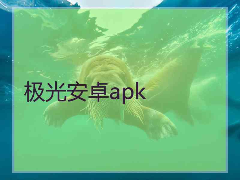 极光安卓apk