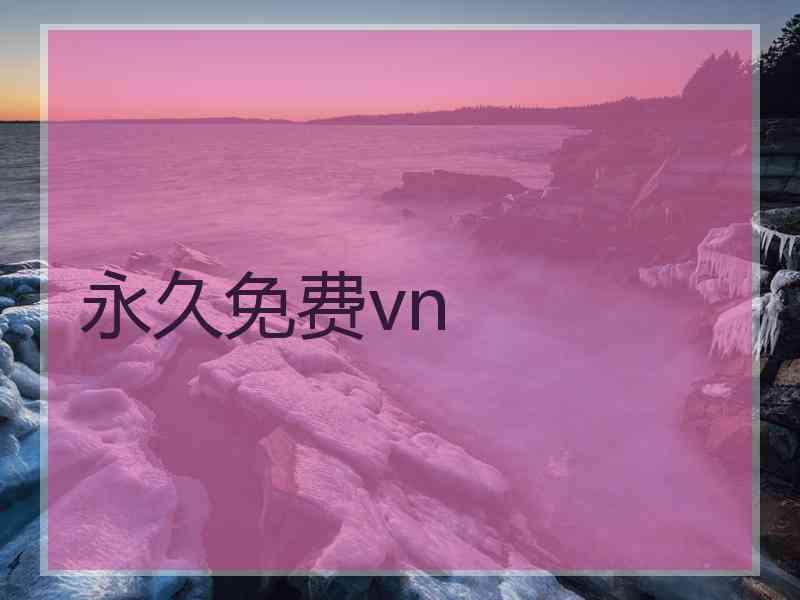 永久免费vn