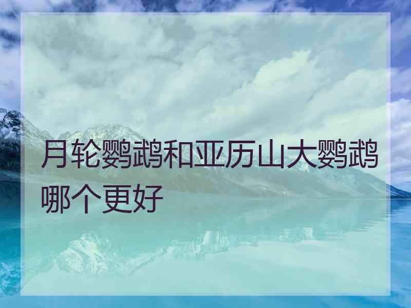 月轮鹦鹉和亚历山大鹦鹉哪个更好