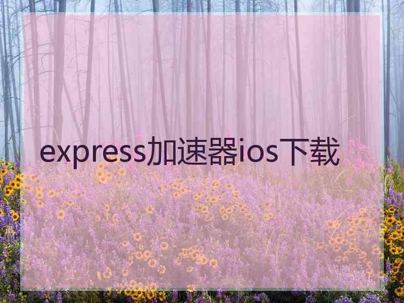 express加速器ios下载