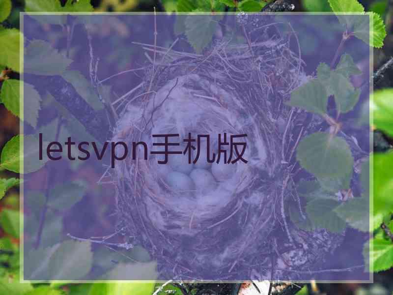 letsvpn手机版