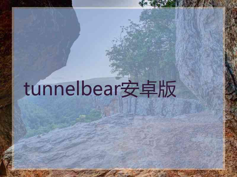 tunnelbear安卓版