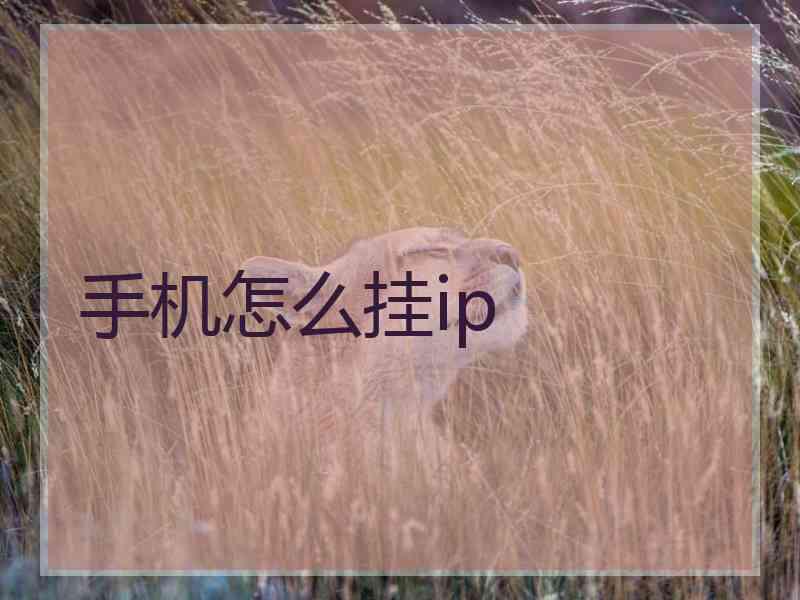 手机怎么挂ip